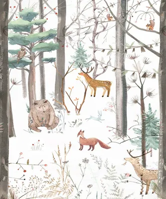 Откуда в лесу звери?» Считаем волков, медведей и рысей в Нижегородской  области - 20 августа 2020 - nn.ru