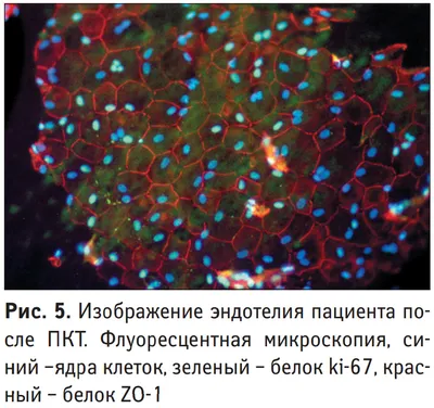 ПКТ-60 У2, 6,3А, IP30, вверх, вниз, влево, вправо, вперед, назад (с ключом  защиты), пост кнопочный (ЭТ) ET561371 Купить онлайн в ЭКС по низкой цене из  наличия: отзывы, характеристики, фото