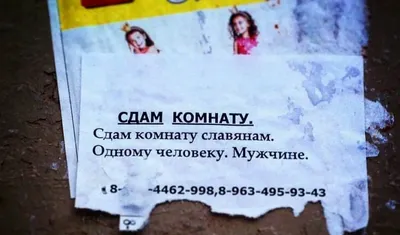 Сдам квартиру в ЖК Олимпик парк, пр. Бажана 17, метро Бориспольская,  Вырлиця, Позняки, Дарницкий район Новый дом - АН Киевские квартиры