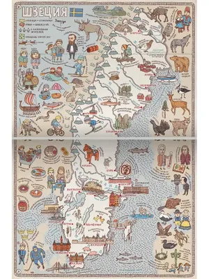 Стоит ли покупать Мизелиньский Д. \"Карты. Путешествие в картинках по  континентам, морям и культурам мира\"? Отзывы на Яндекс Маркете