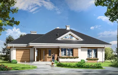 Проекты одноэтажных домов от 250 м2 до 300 кв м, заказать или купить проект  1 этажного коттеджа на shop-project.ru