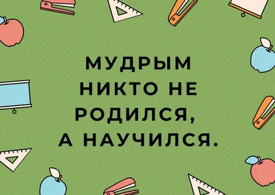 5 аккаунтов в Инстаграме, которые помогут вам улучшить казахский язык |  The-steppe.com