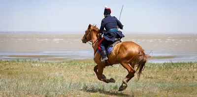 Чем отличаются русские казаки от украинских