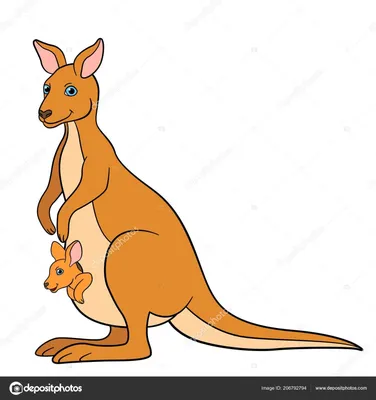 Funny kangaroo Stock Vector by ©Andrey_Makurin 66384441