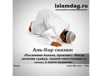 хадис #хадисы #золото #ислам | TikTok