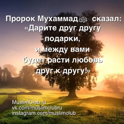 Хадисы Пророка Мухаммада (ﷺ). (@khadisy._) • Instagram photos and videos