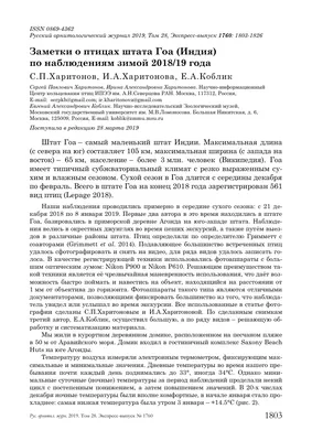 🤩 Настало время объявить результаты премии ФНКЦ ФМБА России «Врач года -  2023» Победители: 🏆 В номинации «Лучший врач терапевтического п… |  Instagram