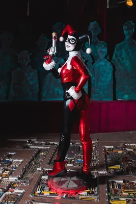 Пиньята Харли Квинн harley Harley Quinn Харли Квин пиньята бумажная для  праздника барабан шар (ID#1359487360), цена: 450 ₴, купить на Prom.ua