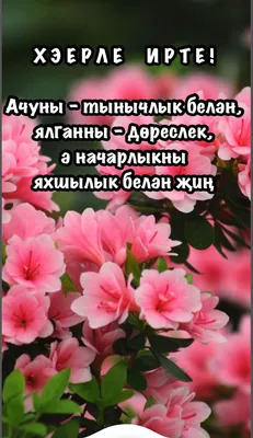 Картинки с воскресным утром на татарском языке (49 фото) » Красивые  картинки, поздравления и пожелания - Lubok.club