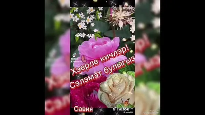 хэерлекич | TikTok