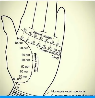 Хиромантия: как определить количество браков по линиям на ладони |  Haip.info | Дзен