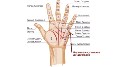 Херомантия: истории из жизни, советы, новости, юмор и картинки — Все посты  | Пикабу