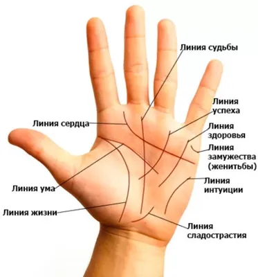 Хиромантия,Линии на руке. | ВКонтакте