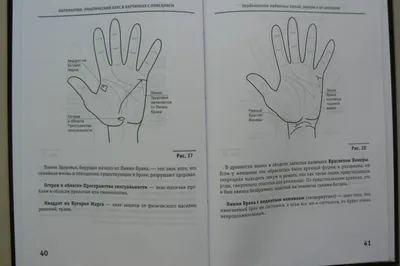 Гадание по руке хиромантия для начинающих с рисунками (49 фото) » рисунки  для срисовки на Газ-квас.ком