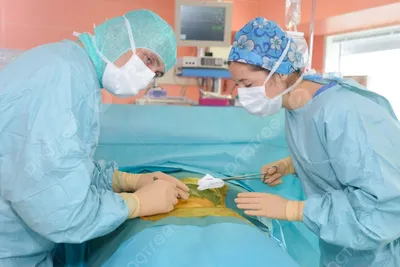 Как постигать медицину: хирургия