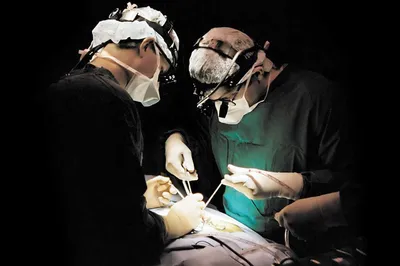 два хирурга делают операцию флебэктомии Фото Фон И картинка для бесплатной  загрузки - Pngtree