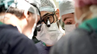 Врачебное тело: для обучения хирургов создали манекен с органами животных |  Статьи | Известия
