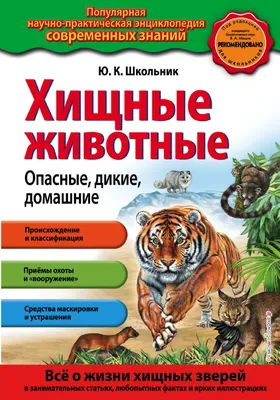 Хищные животные. Опасные, дикие, домашние : Популярная научно-практическая  энциклопедия современных знаний : Школьник Юлия Константиновна :  9785699969906 - Troyka Online