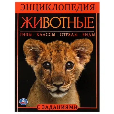 Как животные готовятся к зиме | Природоведение, Для детей, Начальная школа