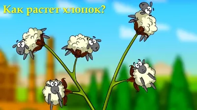 Профессор Почемушкин - Познавательный мультфильм для детей – Как растет  хлопок? - YouTube