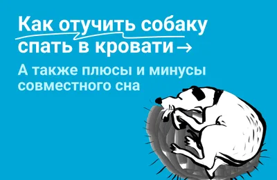 Эксперты рассказали, почему не стоит спать на животе - Газета.Ru | Новости