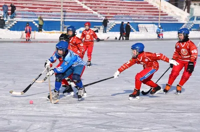 Сборная России стала 12-кратным чемпионом мира по хоккею с мячом -  Газета.Ru | Новости