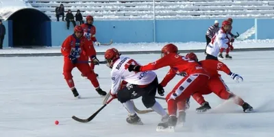 Чемпионат Свердловской области по хоккею с мячом | Спортивная школа  «Энергия»