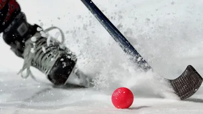 Его еще называют бенди или хоккей с мячом: в Ярославле возрождаются  традиции русского хоккея - Вести Ярославль