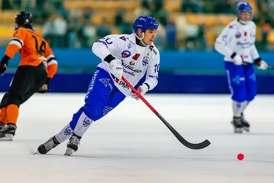 Иркутск примет первые соревнования по хоккею с мячом среди студентов |  СПОРТ:Соревнования | СПОРТ | АиФ Иркутск
