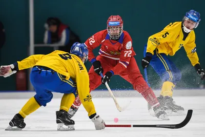 Динамо» стало первым финалистом Кубка России по хоккею с мячом