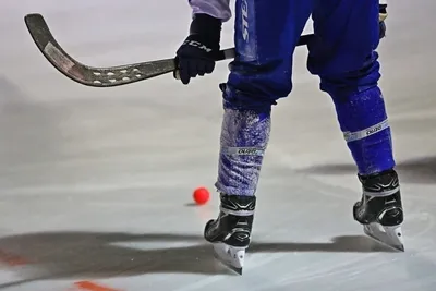 В Иркутске прошли соревнования по хоккею с мячом на Кубок губернатора -  Байкал-Сила
