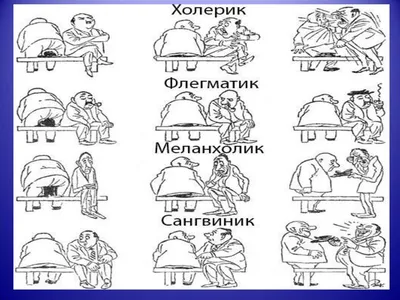 Кто такой холерик: особенности темперамента, описание личности, плюсы и  минусы: Ментальное здоровье: Забота о себе: Lenta.ru