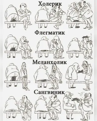 Кто такой холерик: особенности темперамента, описание личности, плюсы и  минусы: Ментальное здоровье: Забота о себе: Lenta.ru