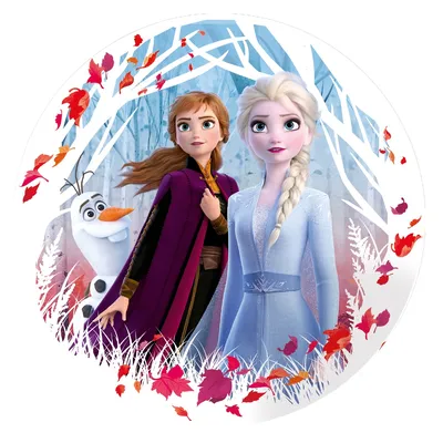 Ледянка \"Холодное сердце\" круглая 52 см Т58475 FROZEN купить по доступным  ценам в Омске