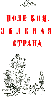 Защитите свои растения от холода с помощью рам и укрытий