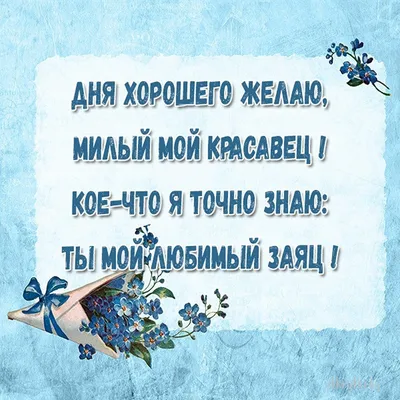 Доброе утро, Осетия☀️ Желаем всем хорошего рабочего дня😎 Фото: тг-канал… |  РИА Осетия | Дзен