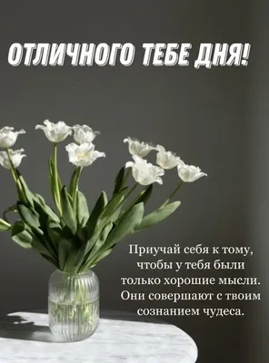 Кружка с принтом Хорошего вам дня!/для чая/с рисунком/с надписью suvenirs |  Купить с доставкой в интернет-магазине kandi.ru