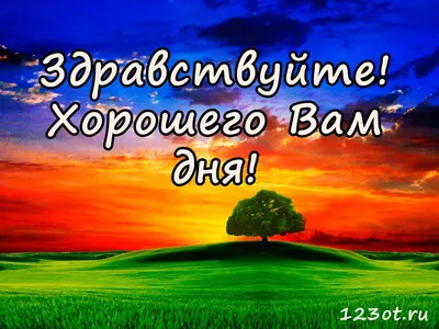 Хорошего вам дня друзья! #коты - ARAMIS777 - Sports.ru