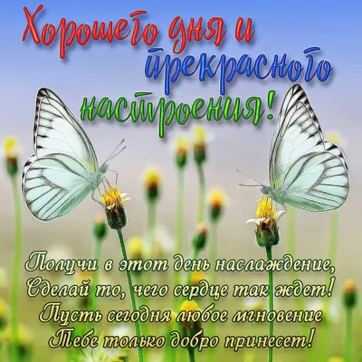 Таро.Белого.Кита | доброе утро мои восхитительные и хорошего Вам дня!!🙏🫠😘  | Дзен