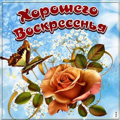 Чудесного воскресного дня и отличного настроения картинки красивые (43  фото) » Красивые картинки, поздравления и пожелания - Lubok.club