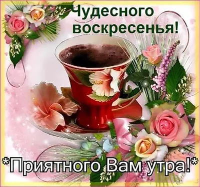 Доброе утро! Всем хорошего воскресного дня, больше позитива и отличного  настроения. Фото Василия.. | ВКонтакте