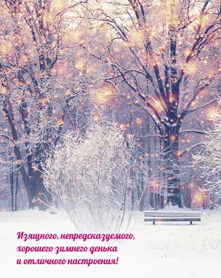 Картинки \"Хорошего зимнего дня!\" (391 шт.)