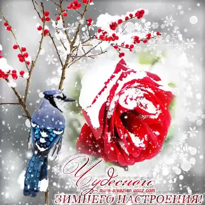Картинки \"Хорошего зимнего дня\" (100 открыток) • Прикольные картинки и  позитив