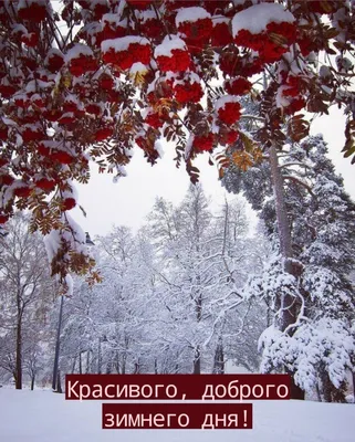 Пожелания доброго зимнего дня и хорошего настроения - 69 фото