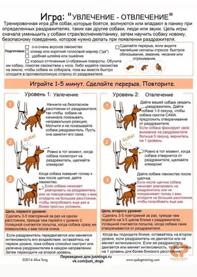 Максик Пожидаев | Доброе утро друзья ребята вот какое чудо природа всем  хорошего четверга Хорошо отработать Кто на работе Всем спасибо, 11.05.2023  год, хорошего позитива Хорошего настроения Вам не болейте пишите. | Дзен