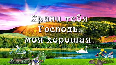 храни вас бог / смешные картинки и другие приколы: комиксы, гиф анимация,  видео, лучший интеллектуальный юмор.