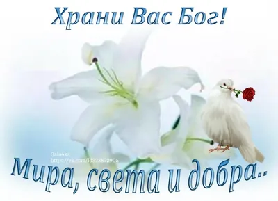 Храни вас Бог! Доброго дня! | Поздравления, пожелания, открытки! | ВКонтакте