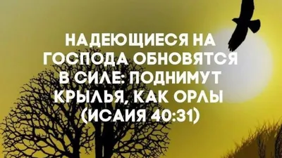 Пин от пользователя Yulia на доске Christianity | Христианские цитаты, Христианские  картинки, Библейские цитаты