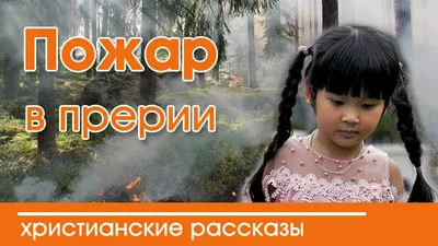 Пин от пользователя Алика на доске Христианские цитаты | Библейские занятия  для детей, Библейские занятия, Христианские цитаты