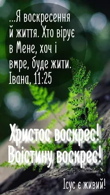 Христос Воскрес! Эта весть, как пожар, пронеслась сквозь пространство и  время | Правмир